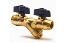 20mm PB560 DZR Brass Double Ball Valve and Strainer Blue T-Handle PN20 FxF