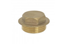 1/2\"   Brass Flanged Plug