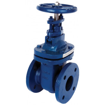 50mm ART210 Cast Iron Gate Valve BS10 Flanged PN10 Table E and D