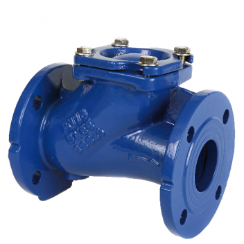 300mm ART172 Ductile Iron Ball Check Valve BSPP FxF PN16 Flanged Ends